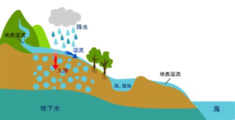 徑流意思|地表逕流